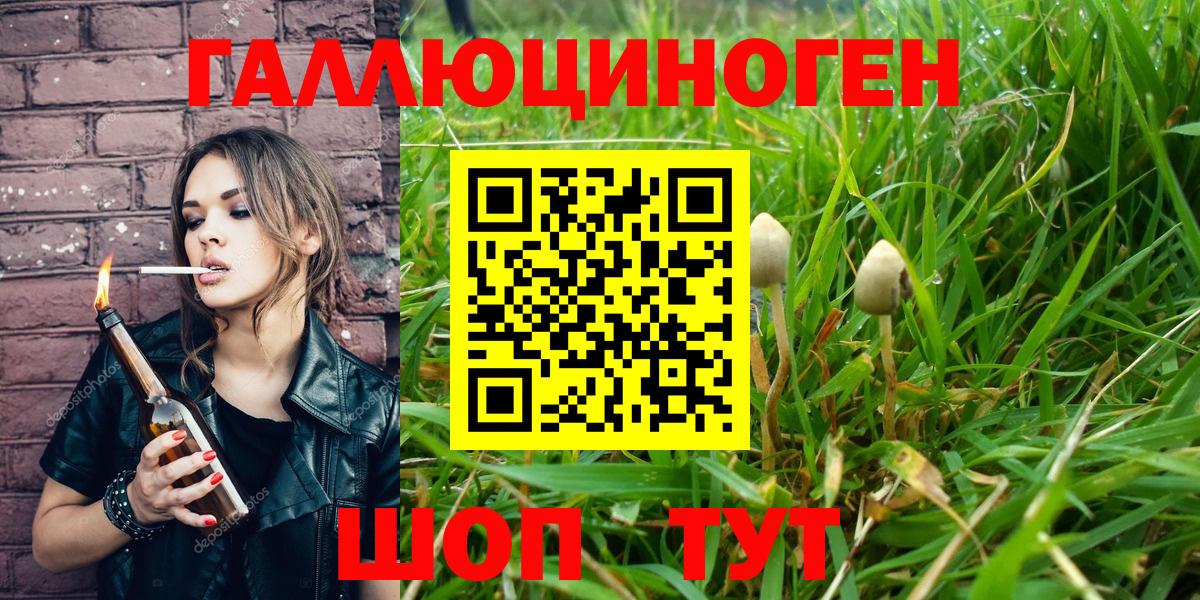 Псилоцибиновые грибы Magic Shrooms Новосибирск